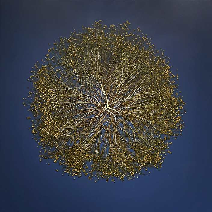 Mayme Kratz - Vanishing Light 18 (SOLD), 2020, resin, chamomile on panel, 36 x 36 inches