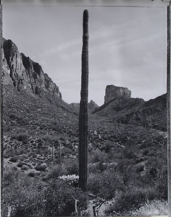 Mark Klett - Desert Citizen No. 4-25-3,1989-90, pigment inkjet print,, 20 by 16 inches