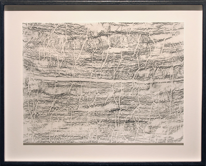 Mayme Kratz - Beetle Map, 2014, graphite transfer on rice paper, 10.25" x 13" framed