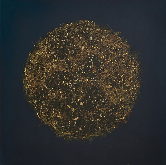 Mayme Kratz - Root Moon 2 (SOLD), 2021, resin and roots on panel, 16 by 16 inches