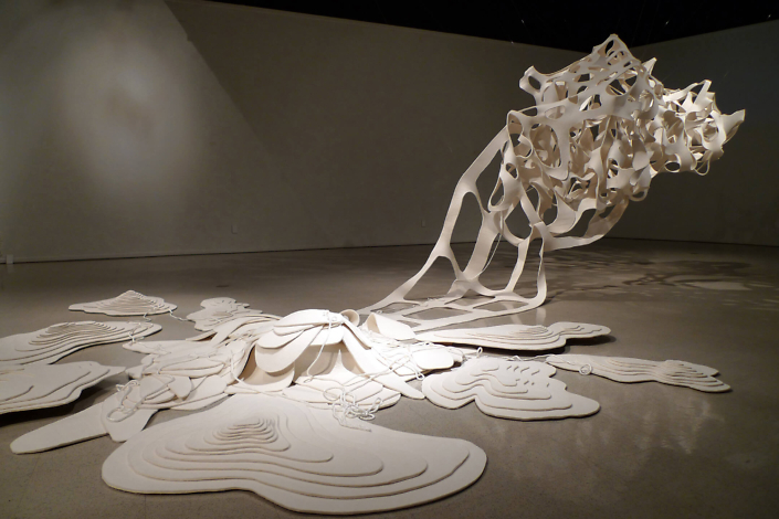 Saskia Jorda - Cartograms of Memory, 2010, industrial felt, cord, dimensions variable; approximately 10 - 12 feet by 8 foot 10 inches by 8 feet.