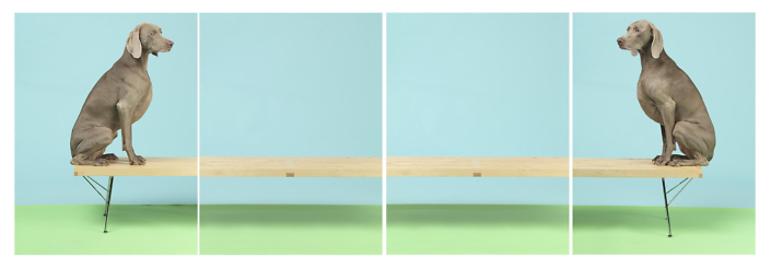 William Wegman - On and On, 2015, pigment print, four panels each measuring 30 by 24 inches or four panels each measuring 44 by 34 inches