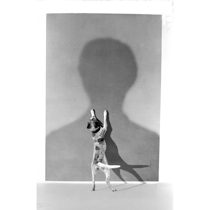 Gilbert Garcin - 32 - L'ombre du maitre (The shadow of the master), 1995, gelatin silver print, 12 by 8 inches, 16 by 12 inches, or 24 by 20 inches