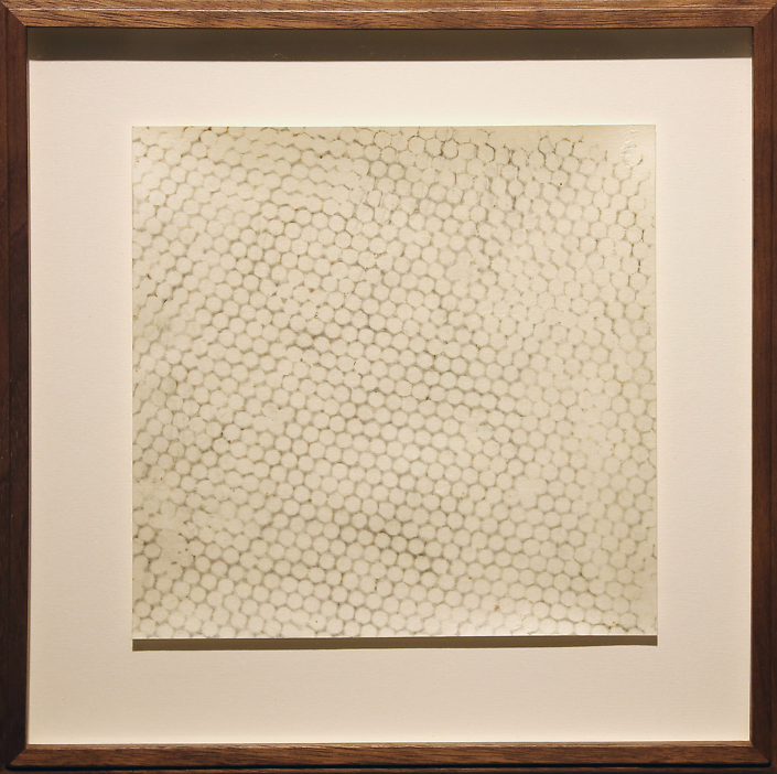 Mayme Kratz - Hive, 2015, graphite transfer on gampi paper, 9" x 9" framed