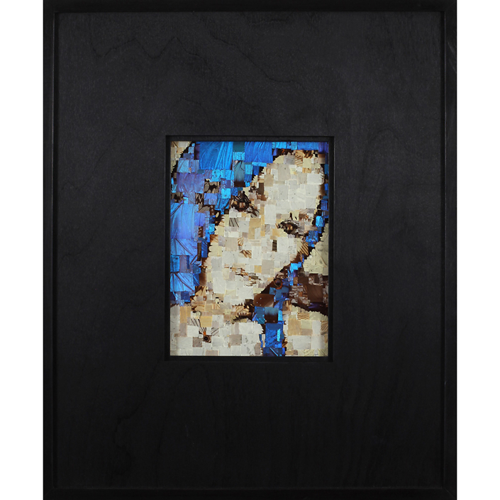 Benjamin Timpson - Shayna Gold, 2021, butterfly wings on glass, 8" x 6" unframed, 18" x 15" x 3" framed, unique