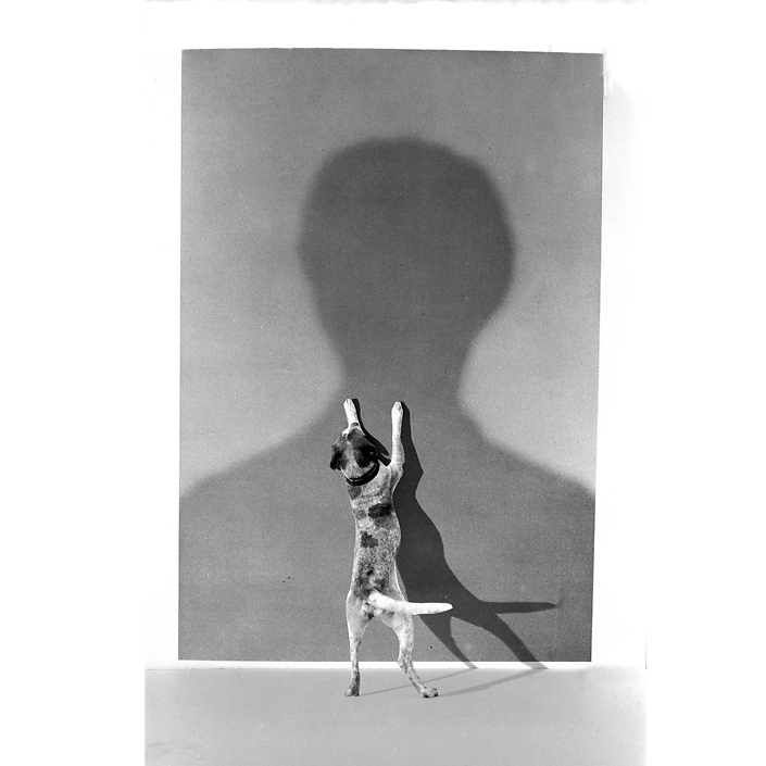 Gilbert Garcin - 32 - L'ombre du maitre (The shadow of the master), 1995, gelatin silver print, 12 by 8 inches, 16 by 12 inches, or 24 by 20 inches