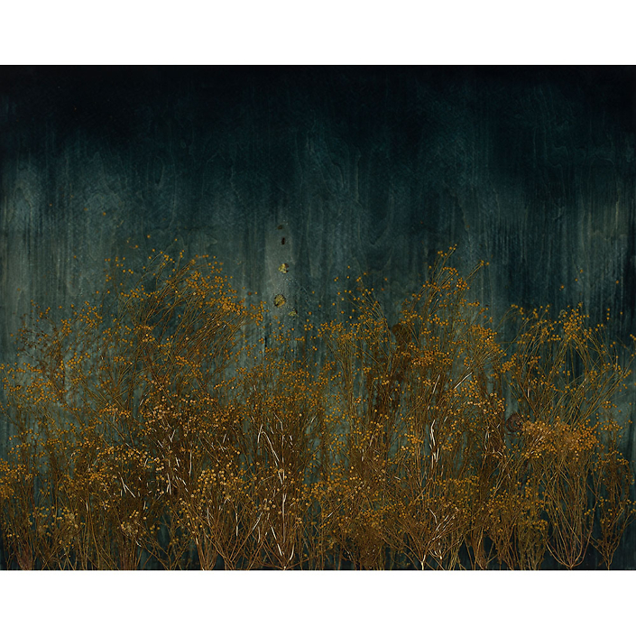 Mayme Kratz - Dark Garden 6 (SOLD), 2022, resin, globe chamomilie, snake, butterfly wings on panel, 48" x 60"
