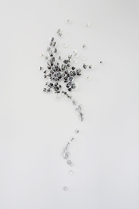 Alan Bur Johnson - Seed, 2010, 87 photographic transparencies, metal frames, dissection pins, 51 by 19.25 by 2 inches