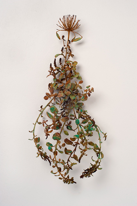 Beverly Penn - Agapanthus, 2019, bronze, 25" x 11" x 4"