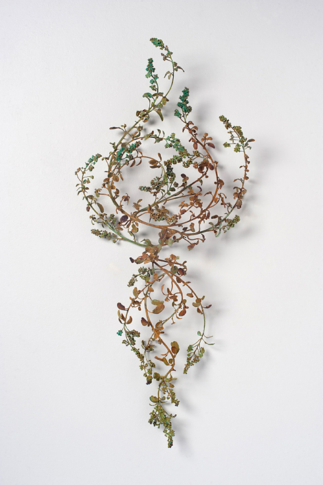 Beverly Penn - Ceanothus Amaranthus, 2017, bronze, 36" x 16" x 7"