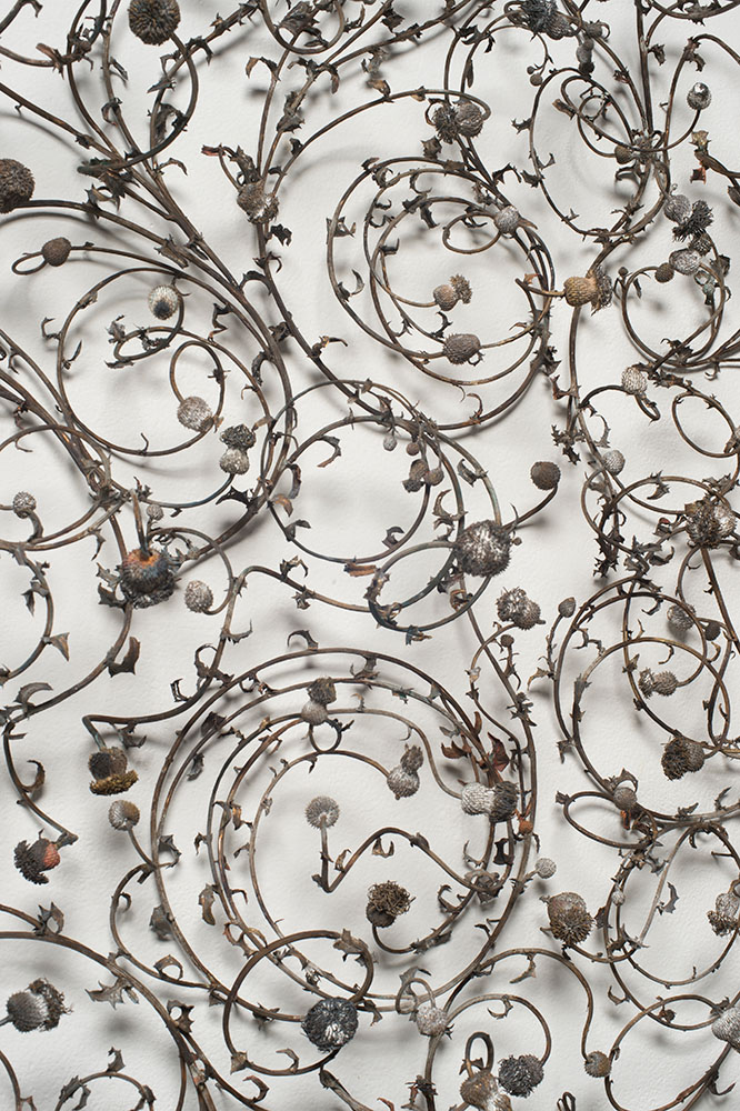Beverly Penn - Radices Systemata (detail), 2021, bronze, 51 by 66.5 x 7 inches