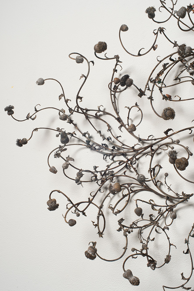 Beverly Penn - Radices Systemata (detail), 2021, bronze, 51 by 66.5 x 7 inches