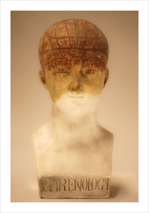 Fiona Pardington - Female Phrenology Head, 2010, archival inkjet print on Hahnemuhle photo rag, 21.6 by 14.4 inches or 41 by 31 inches or 57.5 by 43.3 inches