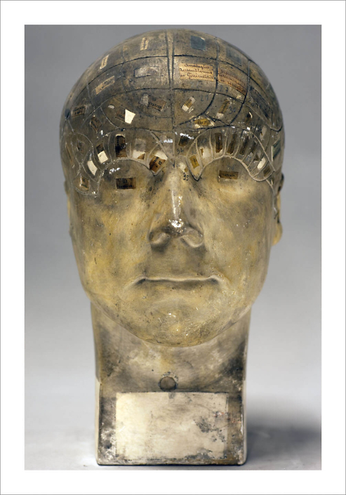 Fiona Pardington - Gall's Bust III, Study in Winter (front), 2010, archival inkjet print on Hahnemuhle photo rag, 41 by 31 inches or 57.5 by 43 inches