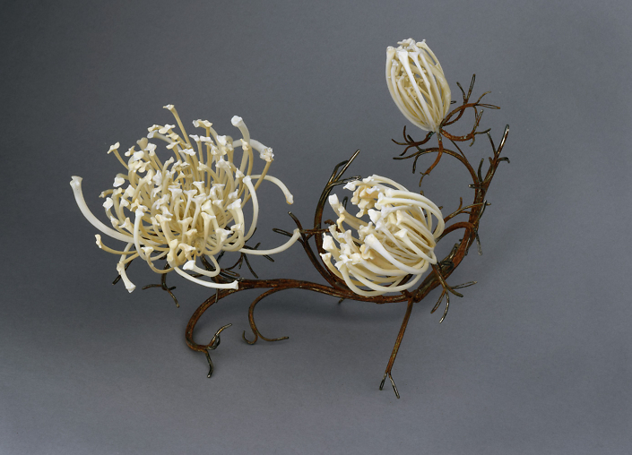 Jennifer Trask - Queen Anne's Lace (SOLD), 2011, rusted sewing needles, rattlesnake ribs, 10 by 6 by 6 inches
