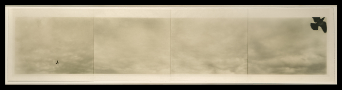 Marie Navarre - breathing the in between, 2010, digital vellum, silk thread, handmade Japanese paper, 20 by 77 inches framed