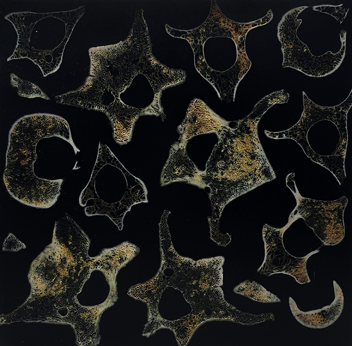 Mayme Kratz - Night Study 8, 2023, resin, deer vertebrae on panel, 6" x 6"
