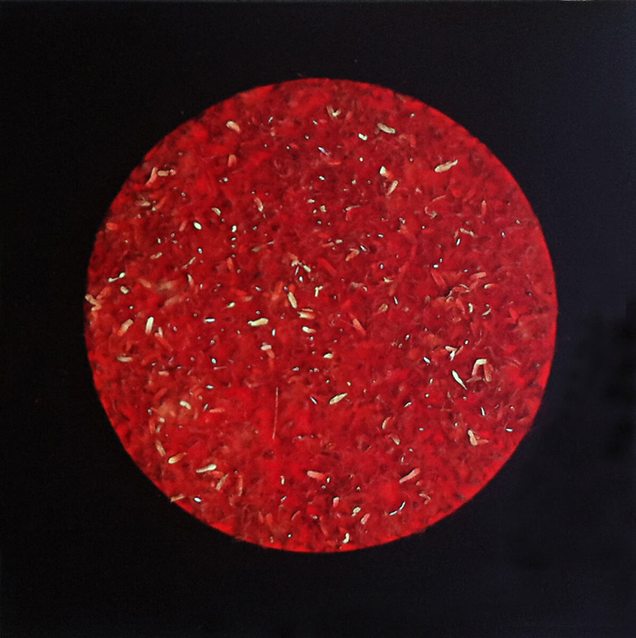 Mayme Kratz - Passion Moon (SOLD), 2013, resin and leaves and seeds on panel, 12 by 12 inches