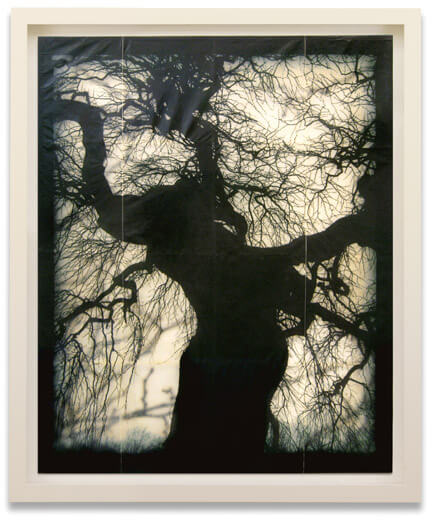 Mike & Doug Starn - Structure of Thought number 21 (SOLD), 2001-2007, archival inkjet prints with wax, encaustic and varnish, 48 by 41.25 inches