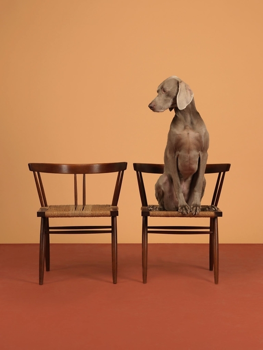 William Wegman - One On, 2015, pigment print, 30 by 23 inches or 44 by 34 inches