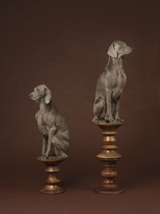 William Wegman - Pawns, 2015, pigment print, 30 by 24 inches or 44 by 34 inches