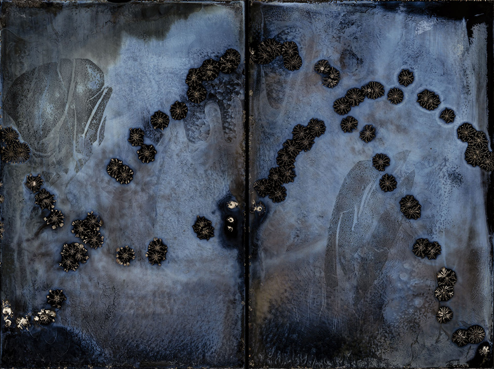 Michael Koerner - Blue DNA #1177L - 1181R, 2021, collodion on tin, 2 plates: 12 by 8 inches each plate, 12 by 16 inches overall