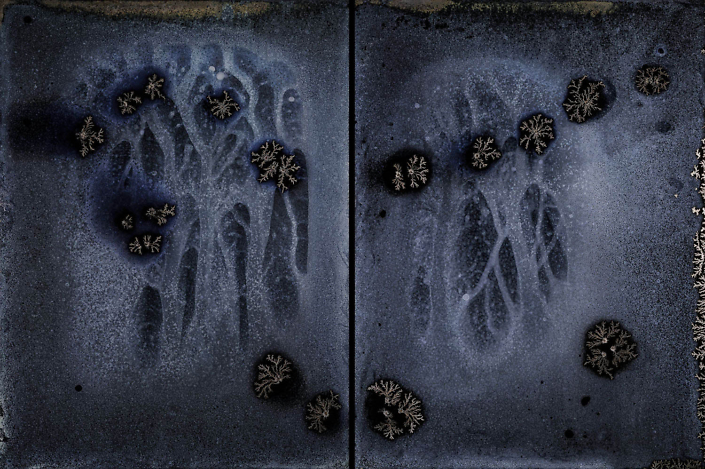 Michael Koerner - DNA #8554L - 8550R, 2019, collodion on tin, 2 plates: 8 by 6 inches each plate, 8 by 12 inches overall