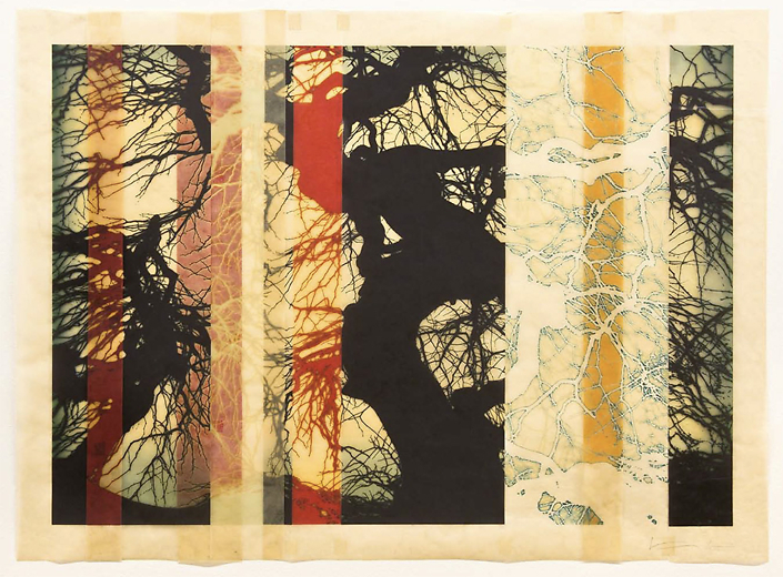 Mike & Doug Starn - noklopkot, 2013-2019, archival inkjet prints on Kozo paper and varnish, 28.5 by 37.5 inches framed