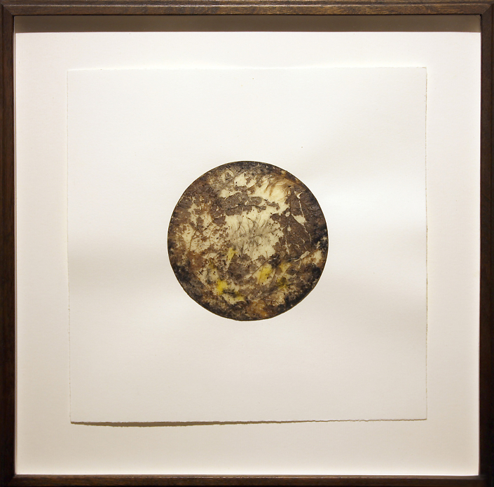 Mayme Kratz - From Soil to Tree, 2015, wax, feather, sycamore leaves on paper, 10.25" x 10.25" framed