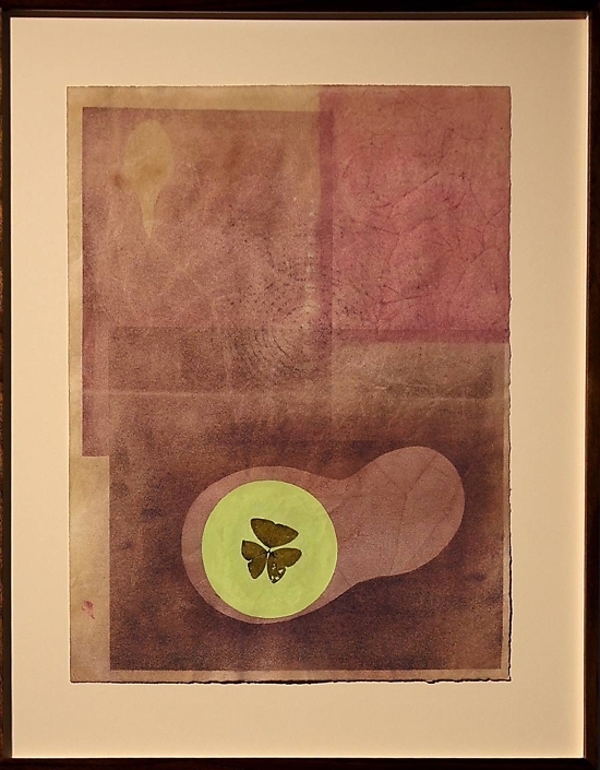 Mayme Kratz - Forest Study 1, paper, clover, pigment from tea and river 14.5" x 11" unframed 19.25" x 15.25" framed