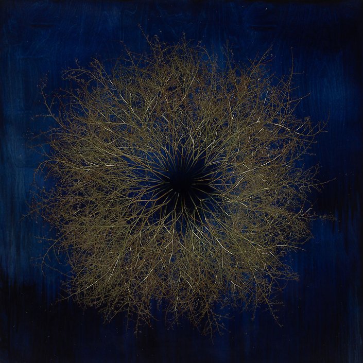 Mayme Kratz - Vanishing Light 37 (SOLD), 2023, resin, grass on panel, 48" x 48"