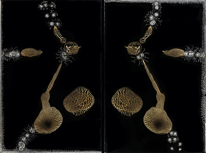 Michael Koerner - The God Cell #0858L - #0854R, 2020, collodion on tin, 12 by 8 inches each