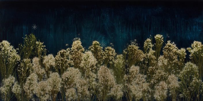 Mayme Kratz - Dark Garden 11 (SOLD), 2024, resin, rabbit brush, rattlesnake ribs, and snake on panel, 40" x 80"