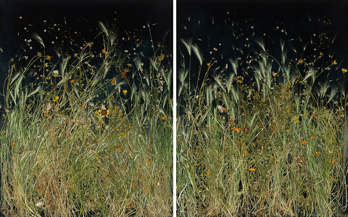 Mayme Kratz - Dark Garden 13 (SOLD), 2024, resin and wildflowers on panel, 30 x 48.5"